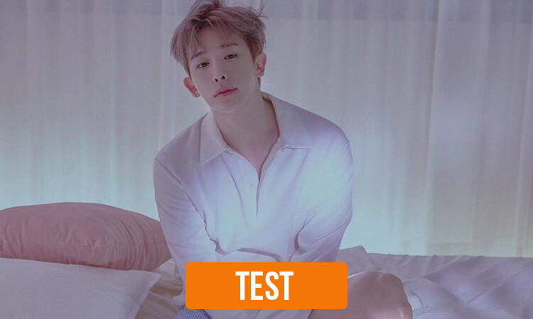 TEST: Wonho y Tú ¿Novios, Amigos o Nada?