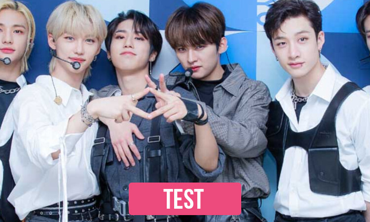 TEST: ¿Qué Integrante de Stray Kids te besara primero?