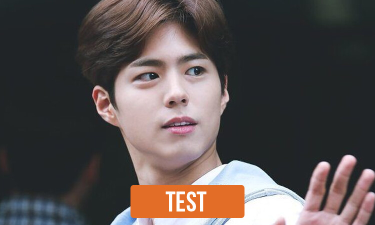 TEST: ¿Qué tanto conoces a Park Bo Gum?