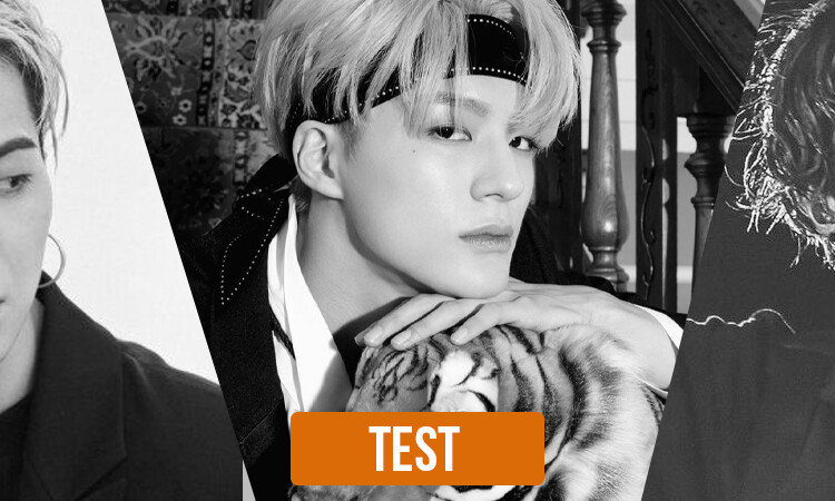 TEST: ¿Qué idol de kpop se pelearía con tu mamá para llevarte a su país?