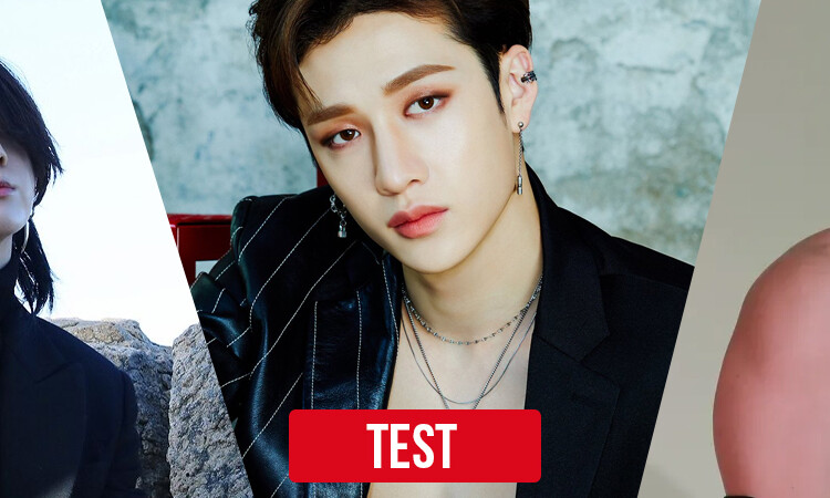 TEST: ¿Con que Idol de kpop perrearas hasta el suelo en Corea Del sur?