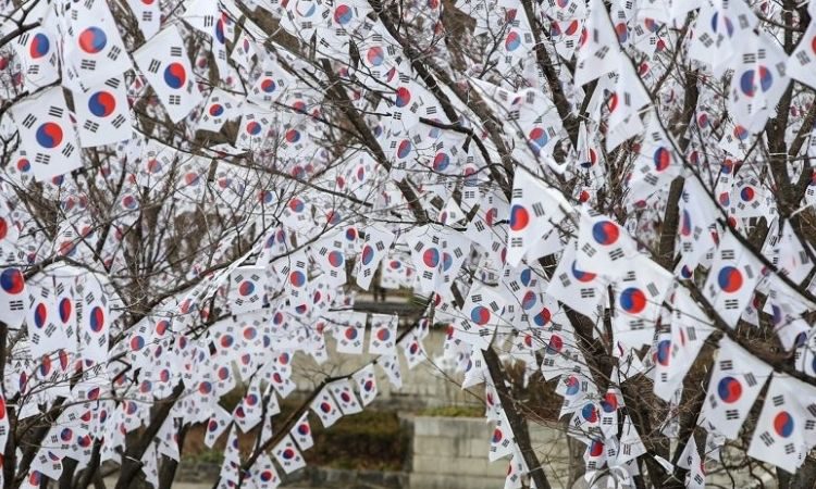 Árboles decorados con banderas de Corea del Sur