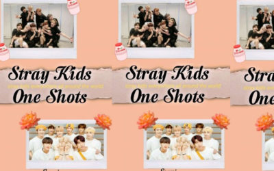 Fanfic: Stray Kids One Shots, Hyunjin