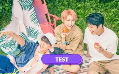 TEST: Stray kids amor de verano