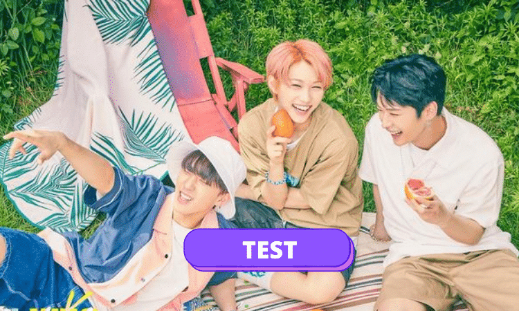 TEST: Stray kids amor de verano